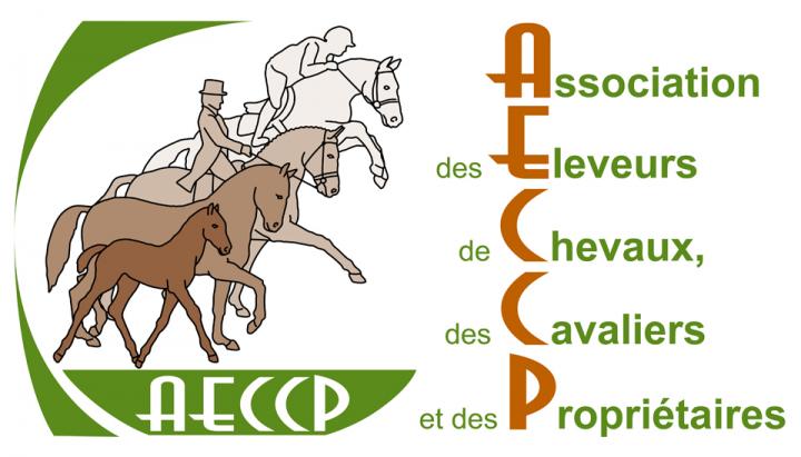 166-2016-aeccp-logo-txt-960.jpg