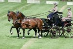 Bravo Chouzenoux ! Championnat du monde en paire à Conty : le meneur du Val de Selle Stéphane Chouzenoux est vice-champion du monde.