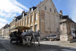 Un pôle cheval consacré au cheval, créateur d’emplois