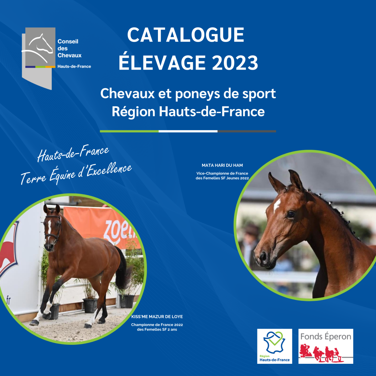 Catalogue Élevage chevaux et poneys de sport Hauts-de-France 2023