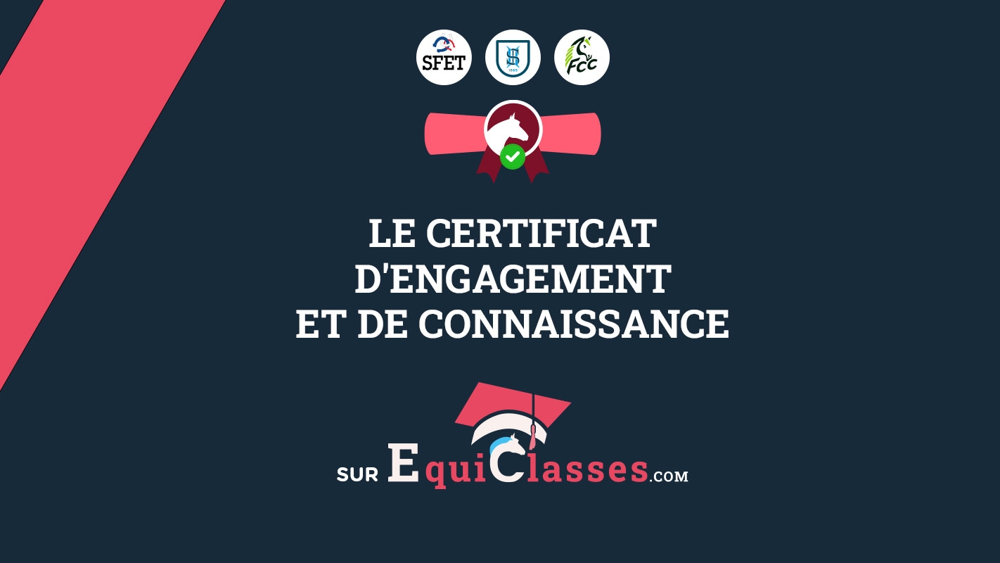 Obtenez votre certificat d'engagement et de connaissance !