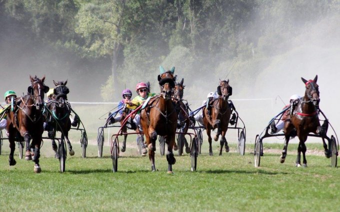 Hippodrome d’Abbeville - le 9 septembre Grand prix de la ville d’Abbeville