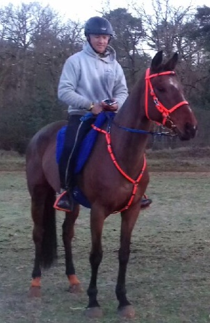 Said Jeddari, Cavalier professionnel, entraîneur en endurance et de chevaux de course de plat et de steeple.